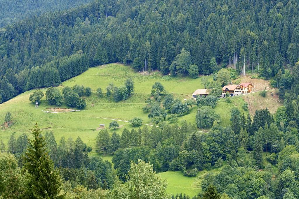 Tourist Farm Arbajter Resnik Exterior foto