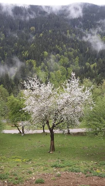 Tourist Farm Arbajter Resnik Exterior foto
